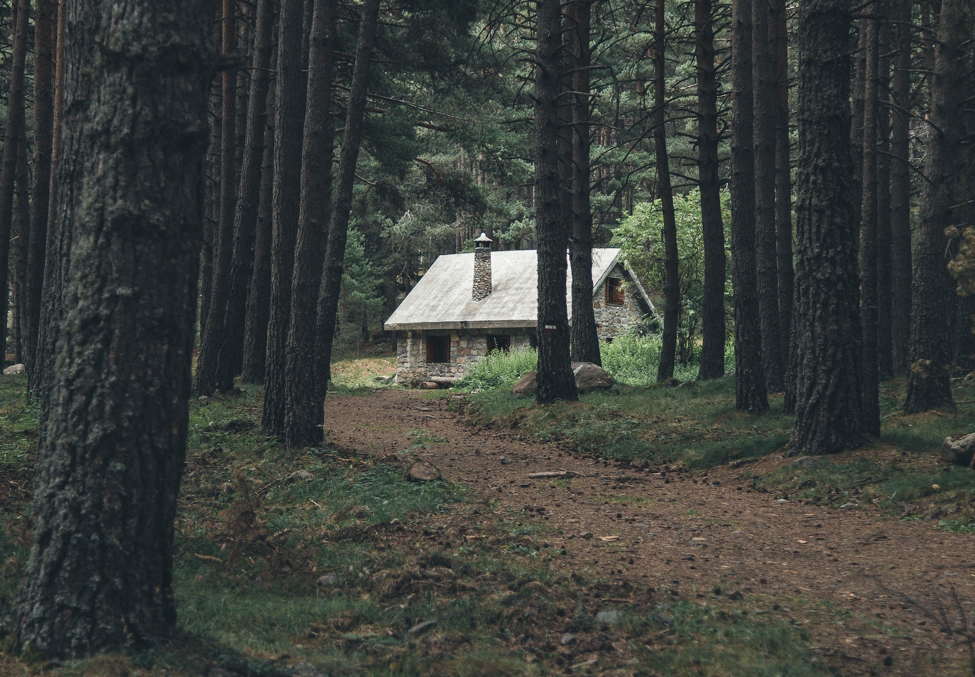 Paul Tremblay’s The Cabin at the End of the World