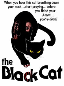 the black cat movie 1981